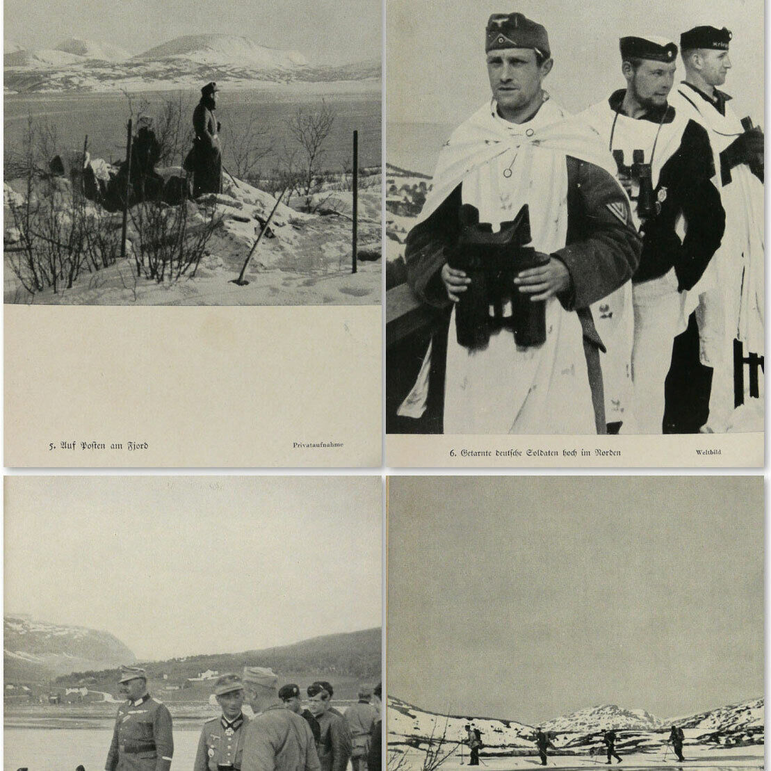 Narvik Battle Norway Ww2 Book - Dietl German Wehrmacht Norwegen Norge W/ Photos