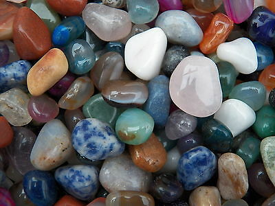 1000 Carat Lots Of Size #4 Tumbled Polished Gemstones + A Free Faceted Gemstone